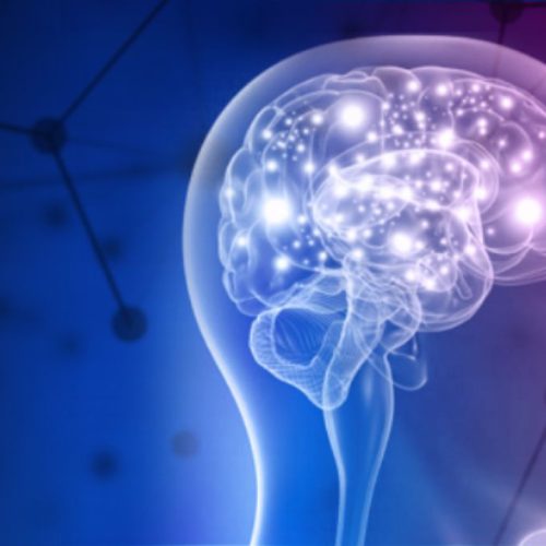 Nota de la Neurociencia