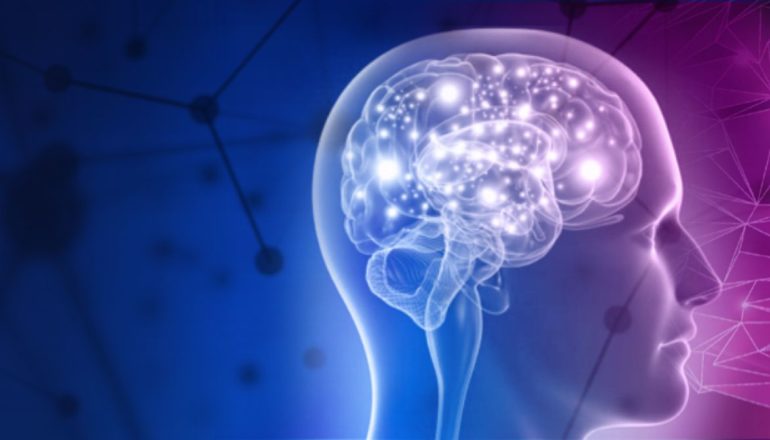 Nota de la Neurociencia